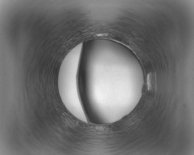 X0000079311443200611170842