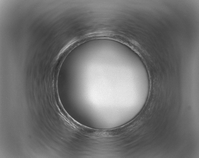 X0000079311450200611170842