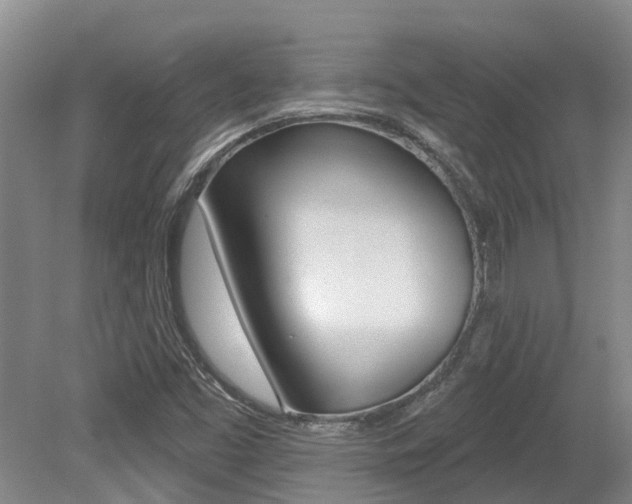 X0000079311453200611170842