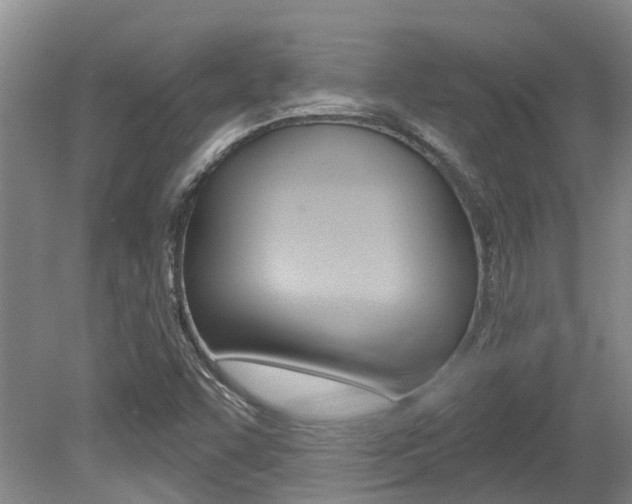 X0000079311455200611170842