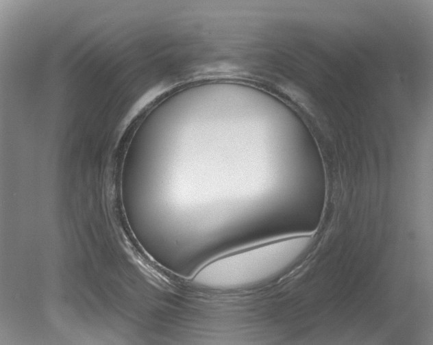 X0000079311458200611170842
