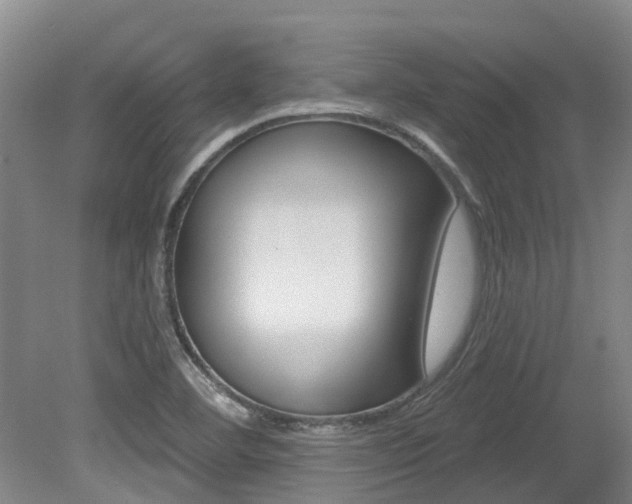 X0000079311460200611170842