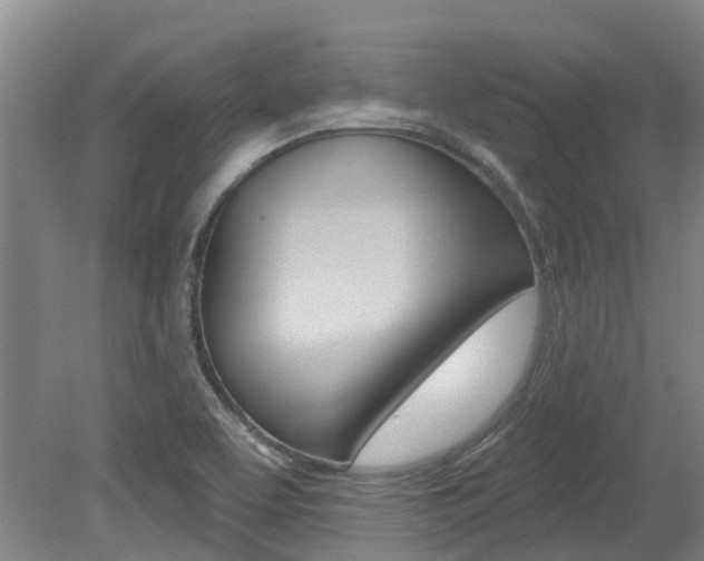 X0000079311463200611170842
