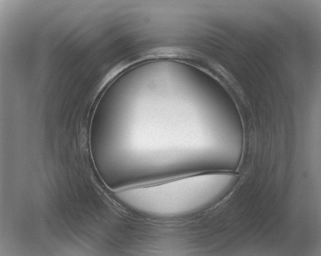 X0000079311465200611170842