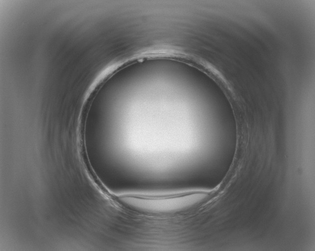 X0000079311469200611170842