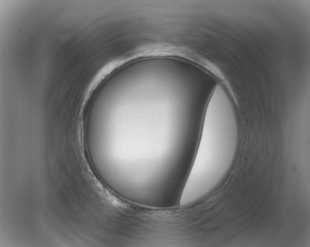 X0000079311472200611170842