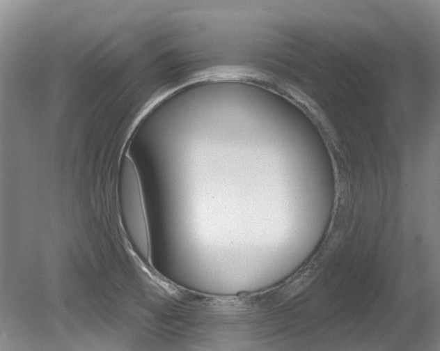 X0000079311473200611170842