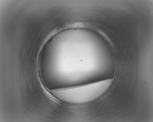X0000079311475200611170842