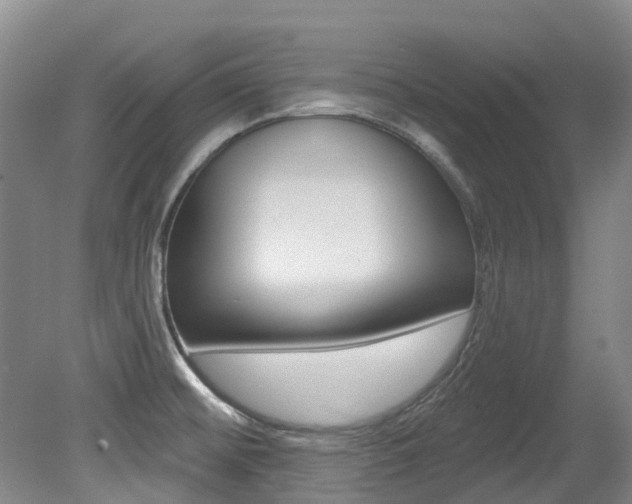 X0000079311476200611170842