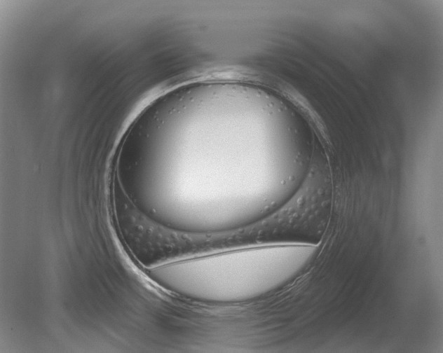 X0000079311483200611170842