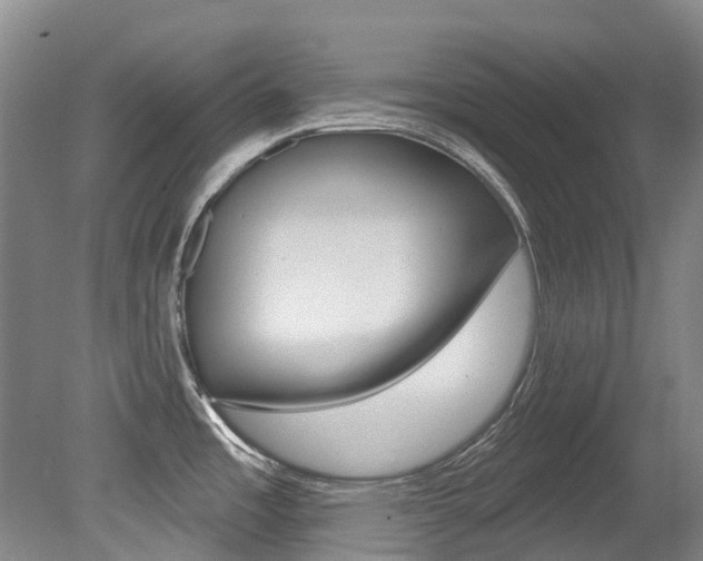 X0000079311485200611170842