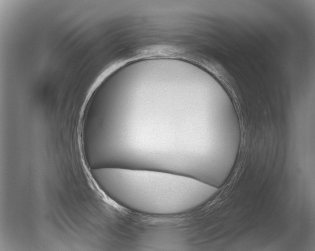 X0000079311486200611170842