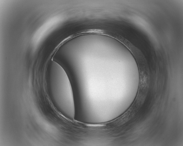 X0000079311487200611170842
