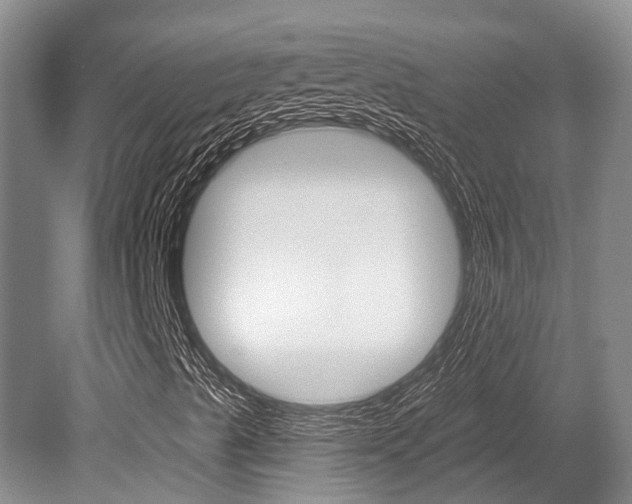 X0000079311489200611170841