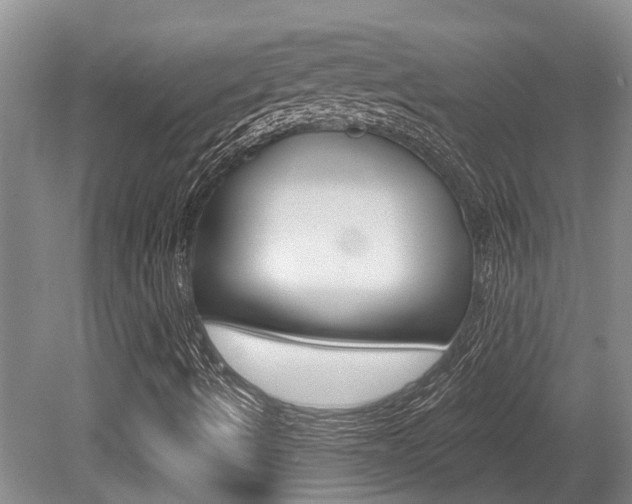 X0000079311490200611170841