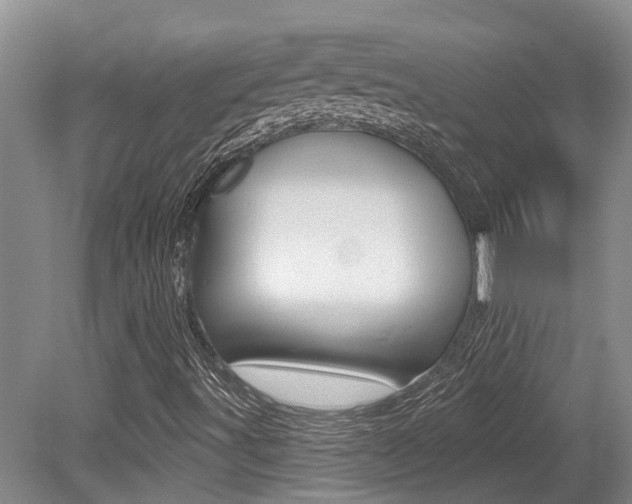 X0000079311491200611170841