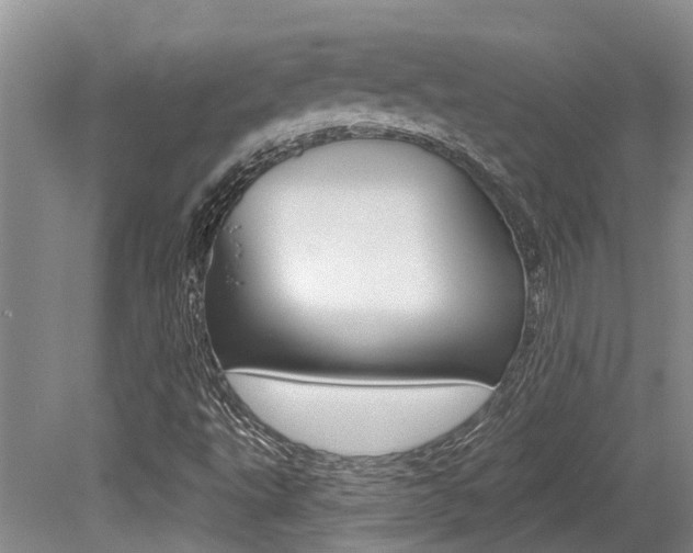 X0000079311495200611170841