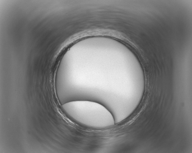 X0000079311498200611170841