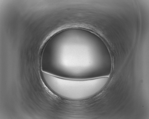 X0000079311500200611170841
