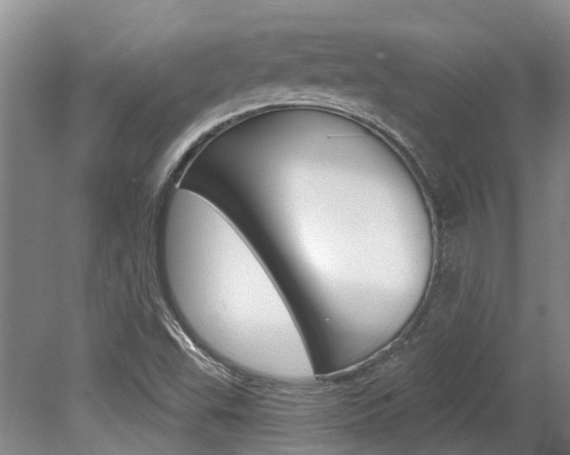 X0000079311503200611170841
