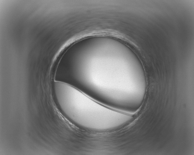 X0000079311506200611170841