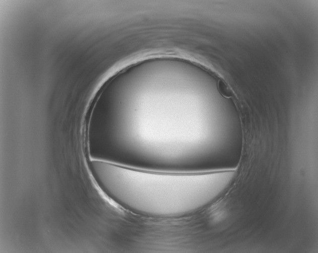 X0000079311519200611170841