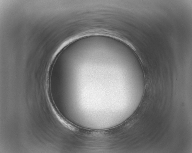 X0000079311523200611170841