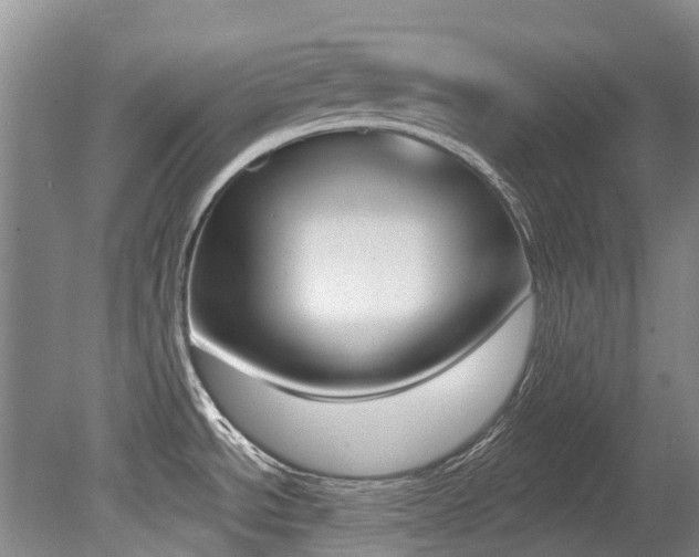 X0000079311534200611170842