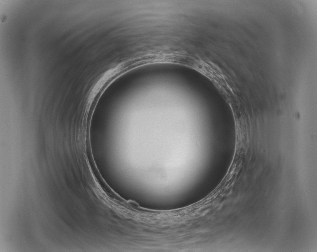 X0000079310003200611171107