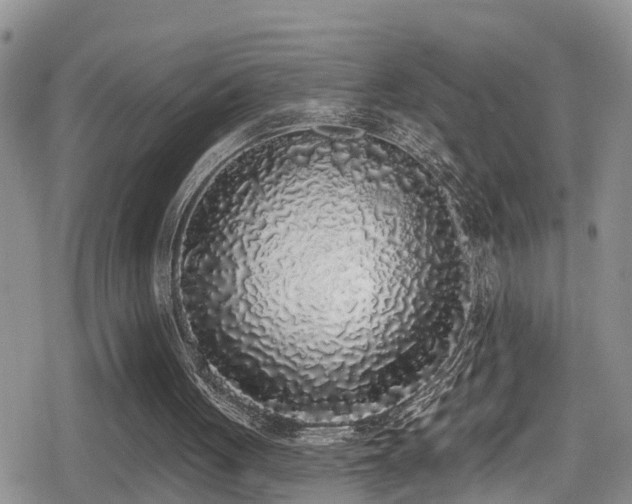 X0000079310051200611171106