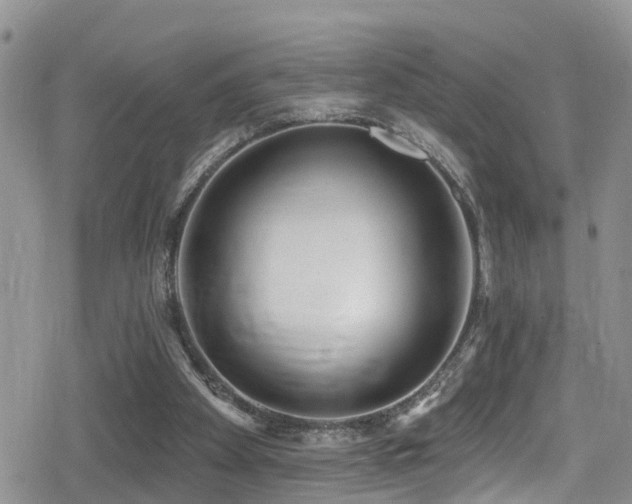X0000079310105200611171105