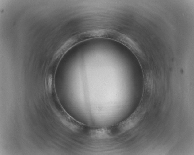 X0000079310118200611171105
