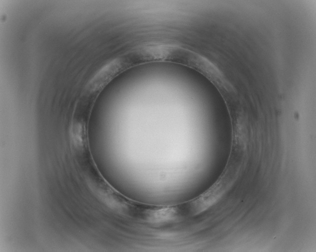 X0000079310122200611171105