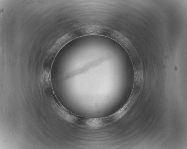 X0000079310142200611171105