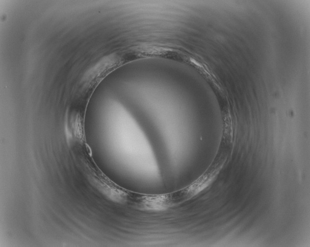 X0000079310143200611171105
