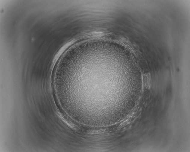 X0000079310147200611171104