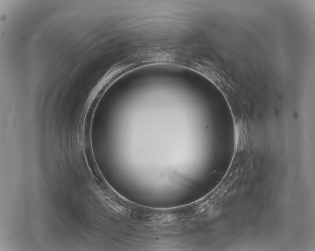 X0000079310195200611171104