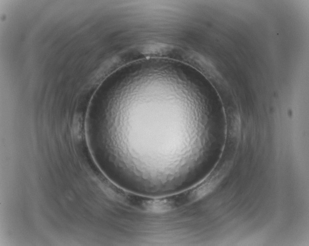 X0000079310273200611171103