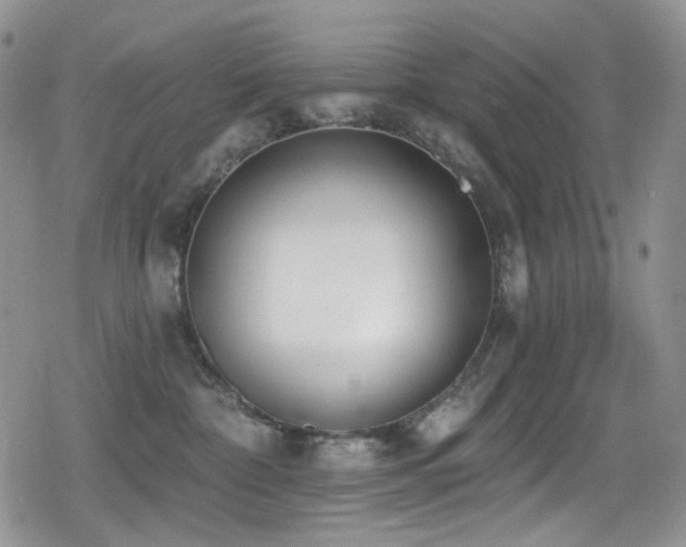 X0000079310332200611171102