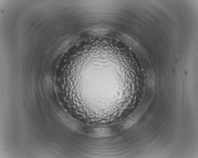 X0000079310371200611171101
