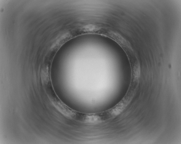 X0000079310376200611171102