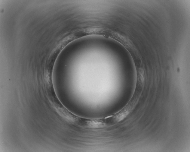 X0000079310380200611171102