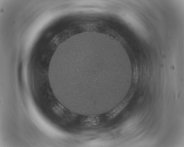 X0000079310383200611171102
