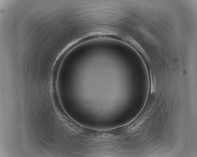X0000079310387200611171101