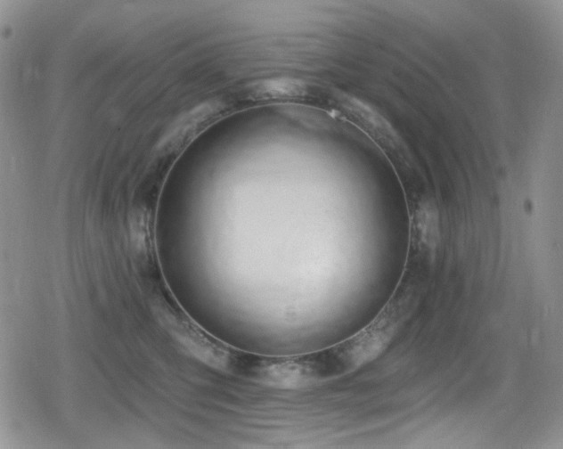 X0000079310423200611171100