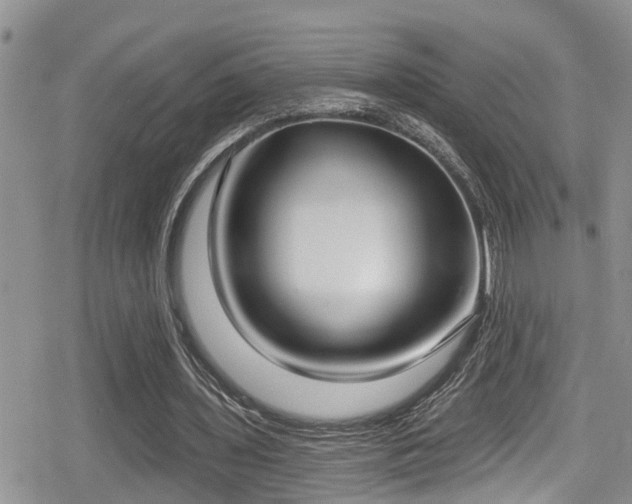 X0000079310435200611171059