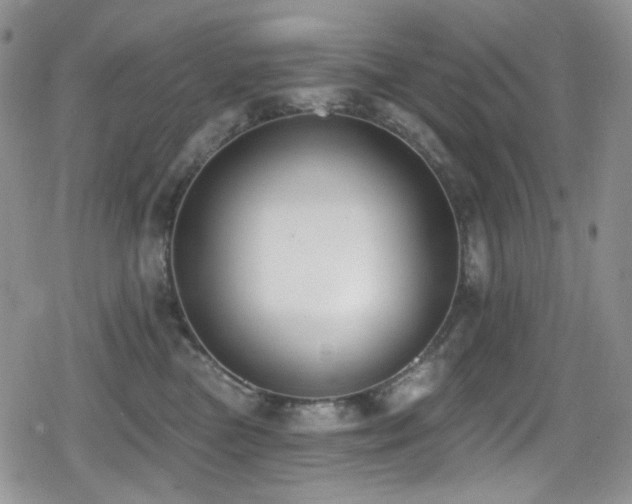X0000079310473200611171100
