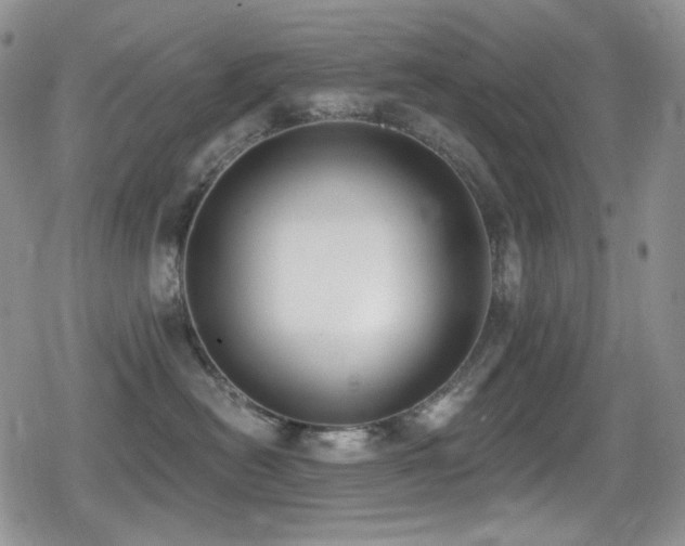 X0000079310478200611171100