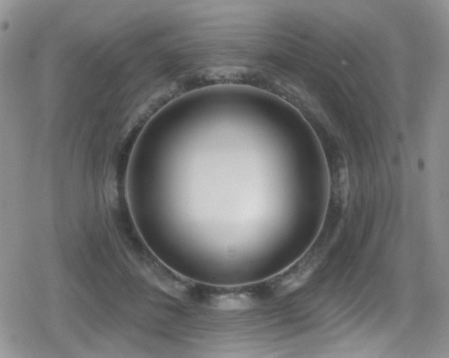 X0000079310508200611171059