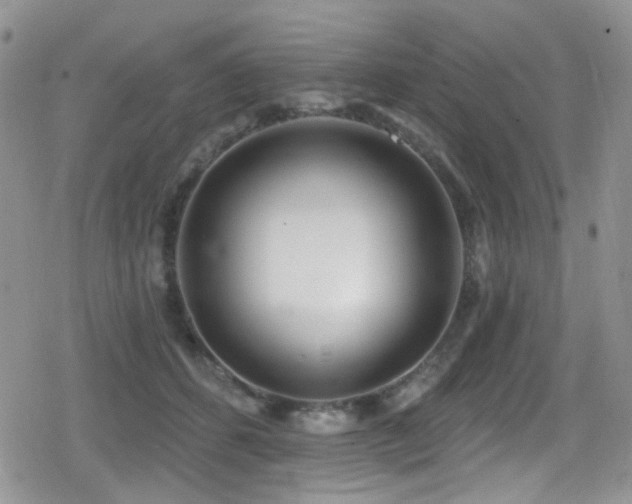 X0000079310512200611171059